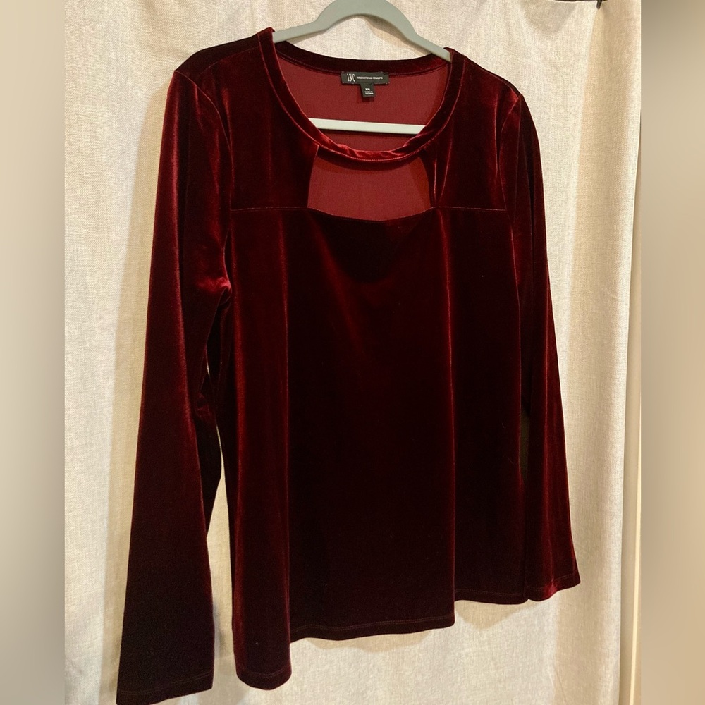 NWOT Velvet Blouse